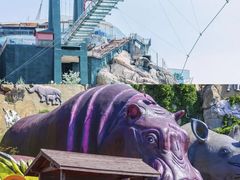 -西霞口神雕山野生动物世界