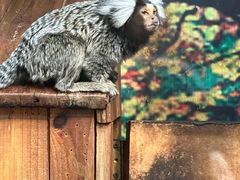 -上海大自然野生昆虫馆