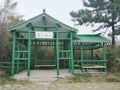 -渤公岛生态公园