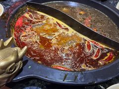 -蜀大侠火锅(森兰花园城店)