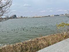 -上海滴水湖皇冠假日酒店
