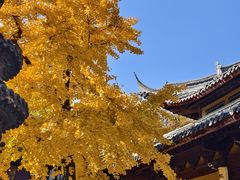 -龙华素斋(龙华路店)