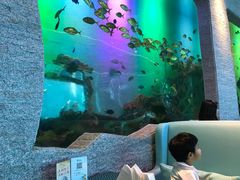 -瑞德姆美人鱼海底演艺主题餐厅(亚龙湾店)