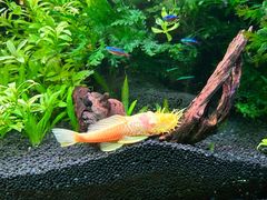 -上海海洋水族馆