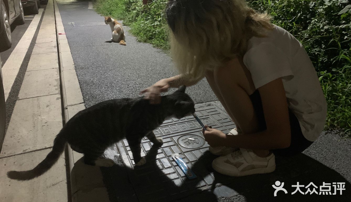 我院天团（26）