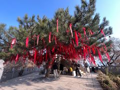 -终南山南五台景区