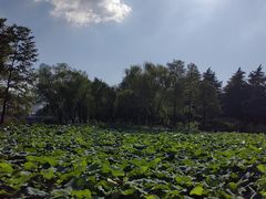 -白塘生态植物园
