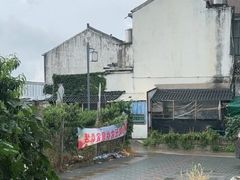 -老袁家蜜桃农场·阳山水蜜桃