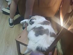 -白兔子密室(长寿路店)