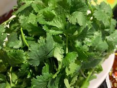 涮菜-葛记红焖羊肉(和平路形象店)