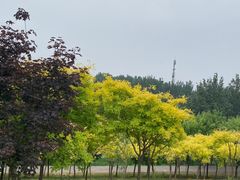 -东郊湿地公园