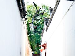 -新安江山水画廊风景区