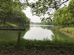 -象山森林公园