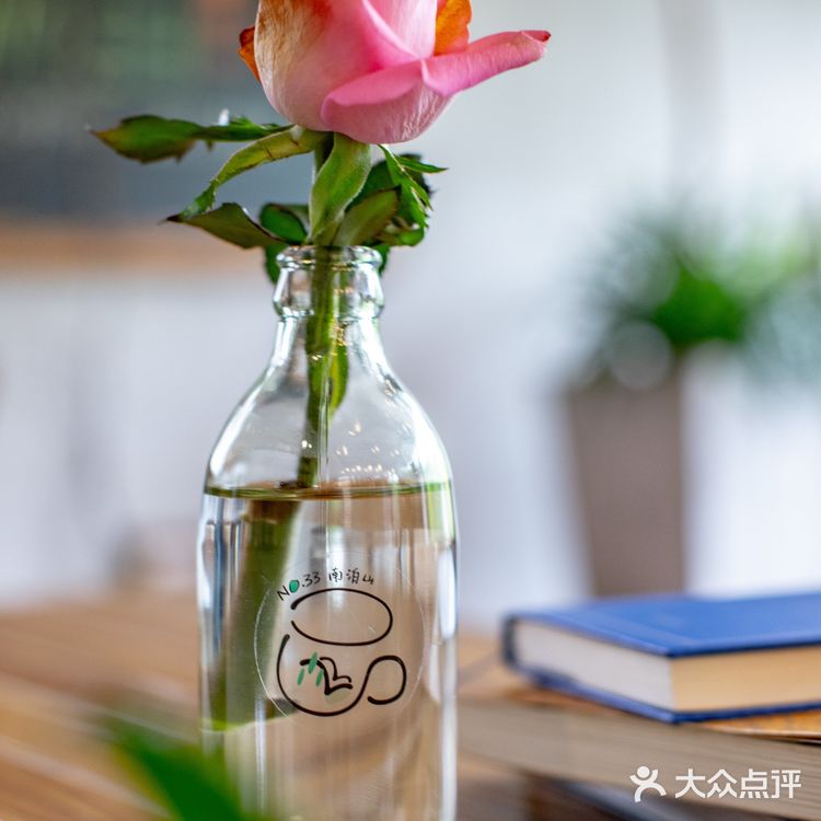 春光正好，赏花逗猫喝一杯咖啡｜南泊山咖啡