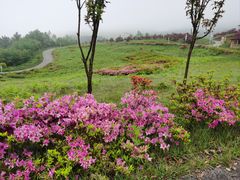 -玉舍国家森林公园