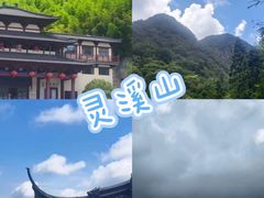 -阿露佳·舌尖上的安吉菜