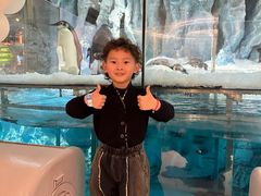 -帝企鹅自助餐厅•儿童岛•真企鹅(长隆企鹅酒店)