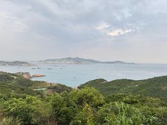 -枸杞岛