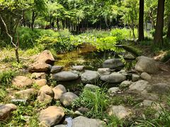 -陈家山荷花公园
