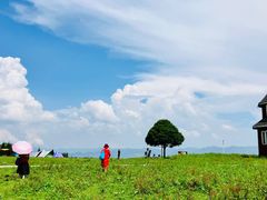 -玉舍国家森林公园