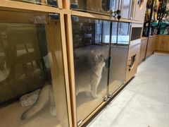 -派多格宠物(御景湾店)