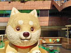 -新城市广场