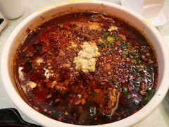 -陈麻婆豆腐总店