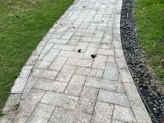 -雅达·阳羡溪山小镇中心