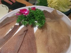 -肚社毛肚火锅