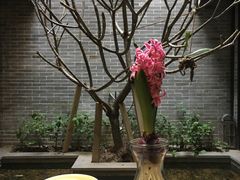 -归觅·西关小姐人文艺术馆(荔枝湾店)