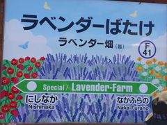 -富田农场