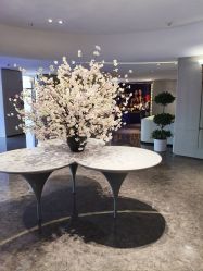 -广州美莱医疗美容医院