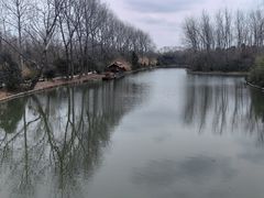 -溱湖国家湿地公园