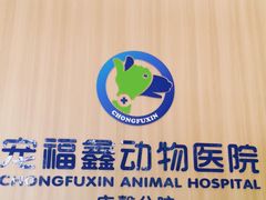 -宠福鑫康馨动物医院·骨科·眼科