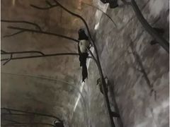 -杭州逸设计师酒店(武林广场店)