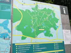 -火炉山森林公园