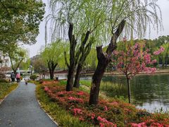 -新江湾城公园