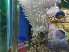 -太平洋海底世界