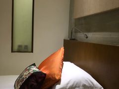 -九华山聚龙大酒店