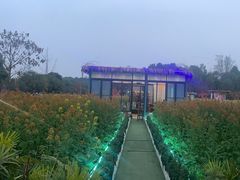 -洪湖家庭农场·团建·露营·会议