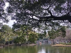 -晓港公园