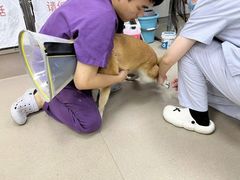 -立德动物医院·24小时中心(番禺区院区)