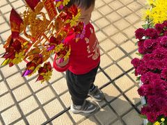 -广东圆玄道观