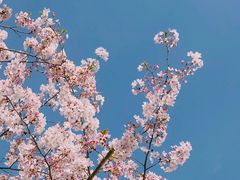 -龙美术馆(西岸馆)