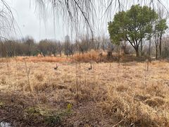 -长兴太湖图影湿地文化园