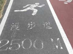 -艾溪湖湿地公园