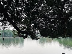-东山湖公园
