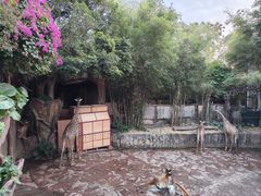 -长鹿旅游休博园