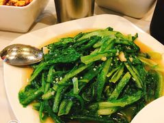 蒜蓉A菜-滋味成都