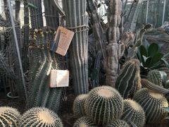 -国家植物园南园